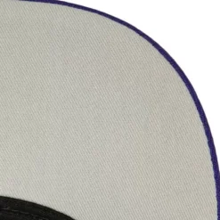 Mitchell & Ness Snapback-1998 Draft Pro Strapback Hwc Toronto Raptors