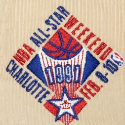 Mitchell & Ness Fitted-2 Tone Team Cord Fitted Hwc Charlotte Hornets