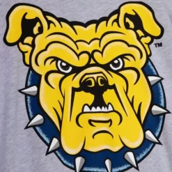 Men Mitchell & Ness T-Shirts & Tops-Aggie Pride Longsleeve North Carolina A&T University