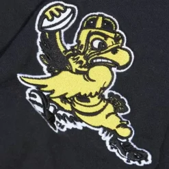Men Mitchell & Ness Hoodies & Sweatshirts-All Over Crew 2.0 University Of Iowa