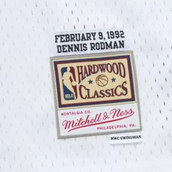 Youth Mitchell & Ness Big Kids-All Star Game Swingman Dennis Rodman All Star Jersey