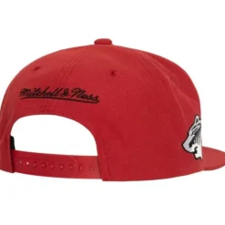 Mitchell & Ness Snapback-Alternate Flip Snapback Minnesota Wild