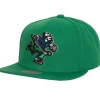 Mitchell & Ness Snapback-Alternate Flip Snapback Vancouver Canucks