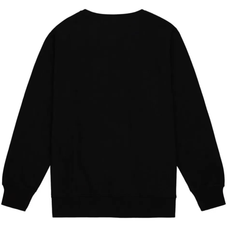 Men Mitchell & Ness Hoodies & Sweatshirts-Arch Team Crew Pittsburgh Steelers