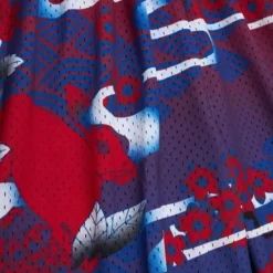 Men Mitchell & Ness Shorts-Asian Heritage Swingman Philadelphia 76Ers 1998 Shorts 5.0