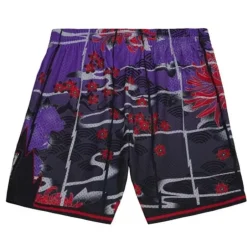 Men Mitchell & Ness Shorts-Asian Heritage Swingman Toronto Raptors 1998 Shorts 5.0