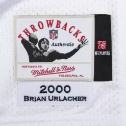 Mitchell & Ness Nfl Authentic-Authentic Brian Urlacher Chicago Bears Jersey