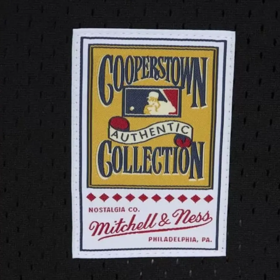 Mitchell & Ness Mlb Authentic-Authentic Jeff Bagwell Houston Astros 2002 Bp Jersey