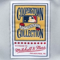 Mitchell & Ness Mlb Authentic-Authentic Jersey Atlanta Braves Road 1999 Chipper Jones