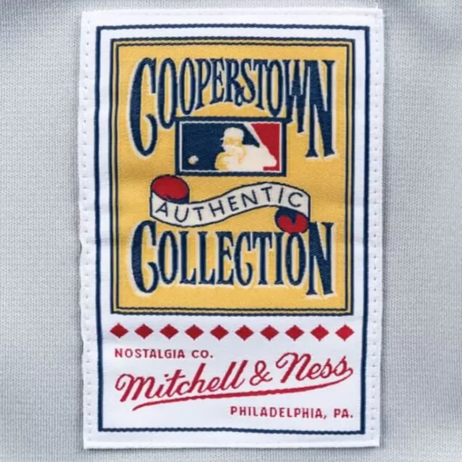 Mitchell & Ness Mlb Authentic-Authentic Jersey Atlanta Braves Road 1999 Chipper Jones