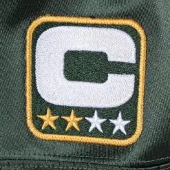 Mitchell & Ness Nfl Authentic-Authentic Jersey Green Bay Packers Super Bowl 2010 Charles Woodson