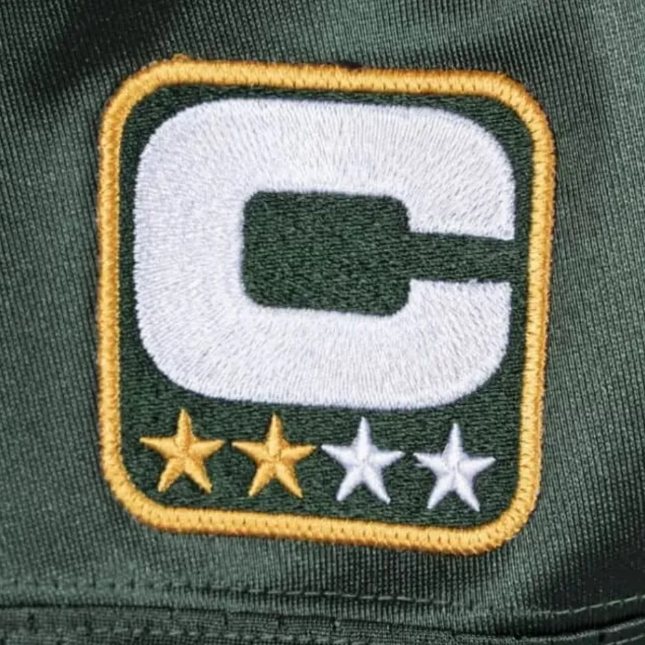 Mitchell & Ness Nfl Authentic-Authentic Jersey Green Bay Packers Super Bowl 2010 Charles Woodson