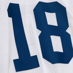 Mitchell & Ness Nfl Authentic-Authentic Peyton Manning Indianapolis Colts 2006 Jersey