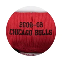 Mitchell & Ness Nba Authentic-Authentic Shorts Chicago Bulls Green Week 2008-09