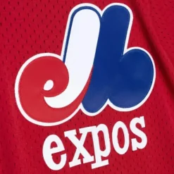 Mitchell & Ness Mlb Authentic-Authentic Tim Raines Montreal Expos 1989 Pullover Jersey