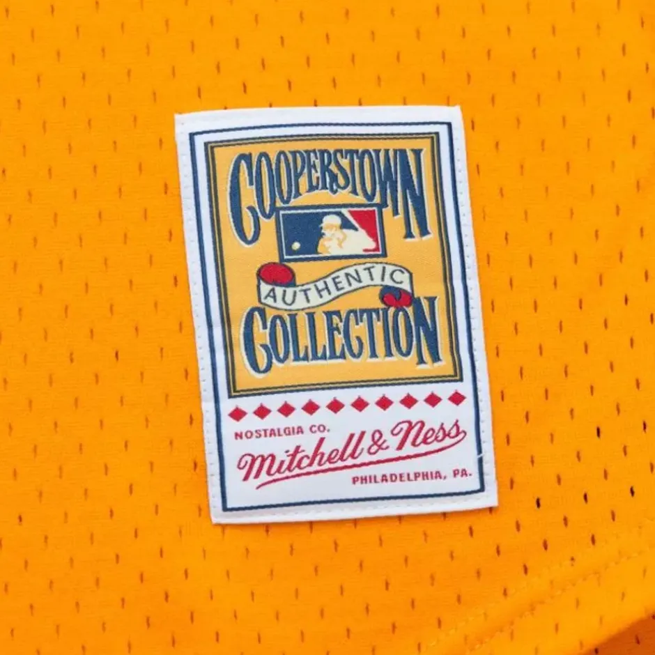 Mitchell & Ness Mlb Authentic-Authentic Tony Gwynn San Diego Padres Dark 1982 Jersey