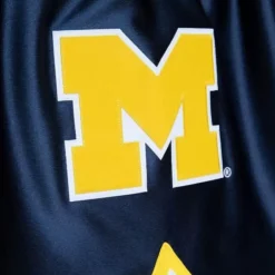 Men Mitchell & Ness Shorts-Authentic University Of Michigan 1991 Shorts