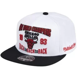 Mitchell & Ness Fitted-Back To 93 Fitted
