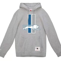 Men Mitchell & Ness Hoodies & Sweatshirts-Basic Logo 1 Hoodie Detroit Lions