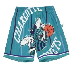 Men Mitchell & Ness Shorts-Big Face 2.0 Shorts Charlotte Hornets