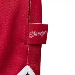 Men Mitchell & Ness Shorts-Big Face 2.0 Shorts Chicago Bulls