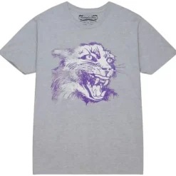 Men Mitchell & Ness T-Shirts & Tops-Big Logo Tee Northwestern University