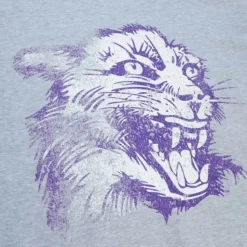 Men Mitchell & Ness T-Shirts & Tops-Big Logo Tee Northwestern University