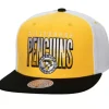 Mitchell & Ness Snapback-Billboard 2 Snapback Vntg Pittsburgh Penguins