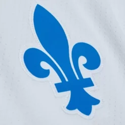 Mitchell & Ness Nhl Blue Line-Blue Line Joe Sakic Quebec Nordiques 1994 Jersey