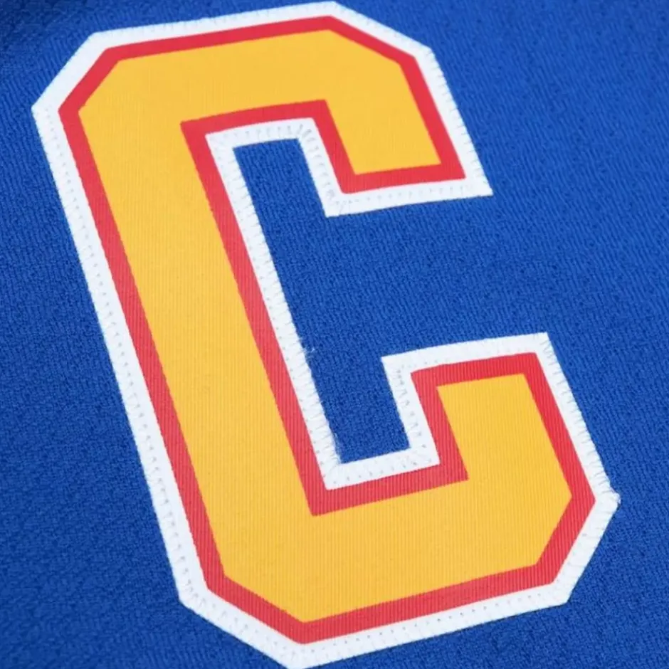 Mitchell & Ness Nhl Blue Line-Blue Line Wayne Gretzky St. Louis Blues Dark 1995 Jersey