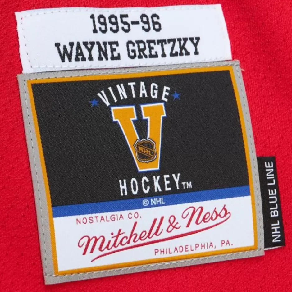 Mitchell & Ness Nhl Blue Line-Blue Line Wayne Gretzky St. Louis Blues Dark 1995 Jersey