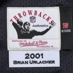 Mitchell & Ness Nfl Authentic-Brian Urlacher 2001 Authentic Jersey Chicago Bears