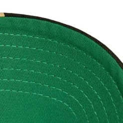 Mitchell & Ness Snapback-Brushed Past Ya Pro Snapback Vegas Golden Knights