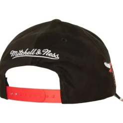 Mitchell & Ness Snapback-Brushed Past Ya Pro Snapback Chicago Bulls
