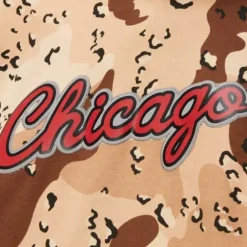 Men Mitchell & Ness Hoodies & Sweatshirts-Camo Reflective Hoodie Chicago Bulls