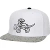 Mitchell & Ness Snapback-Cement Top Snapback Hwc Toronto Raptors