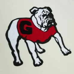 Men Mitchell & Ness Hoodies & Sweatshirts-Chainstitch Heavyweight Hoodie Retro University Of Georgia