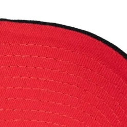 Mitchell & Ness Snapback-Champ Wrap Pro Snapback Toronto Raptors