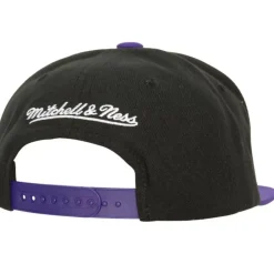 Mitchell & Ness Snapback-Circle Splash Snapback Hwc Toronto Raptors