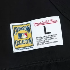 Men Mitchell & Ness Hoodies & Sweatshirts-City Collection Fleece Hoody San Francisco Giants