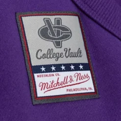 Men Mitchell & Ness Hoodies & Sweatshirts-City Collection Fleece Hoody Louisiana State University