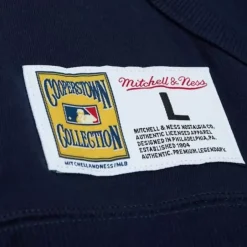 Men Mitchell & Ness Hoodies & Sweatshirts-City Collection Fleece Hoody New York Yankees