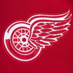 Men Mitchell & Ness Hoodies & Sweatshirts-City Collection Fleece Hoody Detroit Red Wings