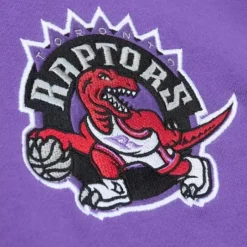 Men Mitchell & Ness Hoodies & Sweatshirts-City Collection Fleece Hoody Toronto Raptors