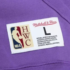 Men Mitchell & Ness Hoodies & Sweatshirts-City Collection Fleece Hoody Toronto Raptors