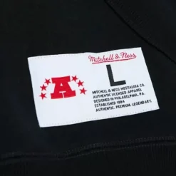 Men Mitchell & Ness Hoodies & Sweatshirts-City Collection Fleece Hoody Pittsburgh Steelers