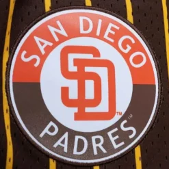 Men Mitchell & Ness Shorts-City Collection Mesh Shorts San Diego Padres