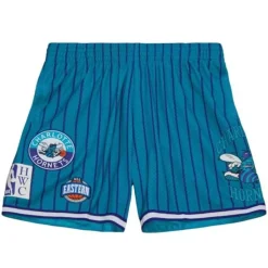 Men Mitchell & Ness Shorts-City Collection Mesh Shorts Charlotte Hornets