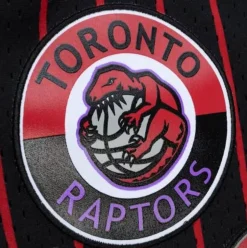 Men Mitchell & Ness Shorts-City Collection Mesh Shorts Toronto Raptors
