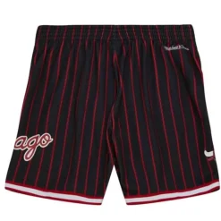 Men Mitchell & Ness Shorts-City Collection Mesh Shorts Chicago Bulls